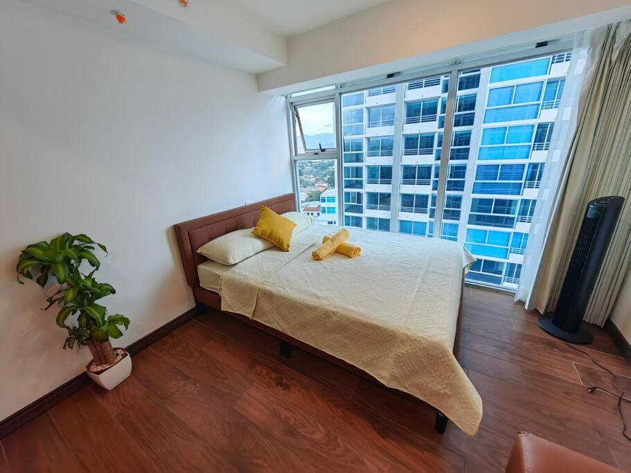 1102 Torre Los Yoses Hermoso Apartamento En Barrio Escalante Sin Parqueo San José Dış mekan fotoğraf